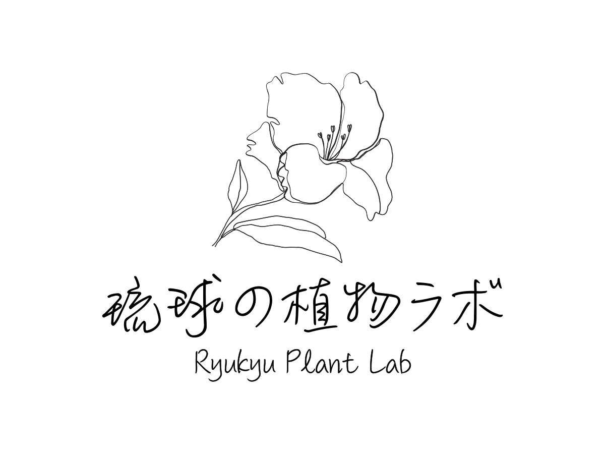 琉球の植物ラボ | 沖縄の植物標本アーカイブデータサイト